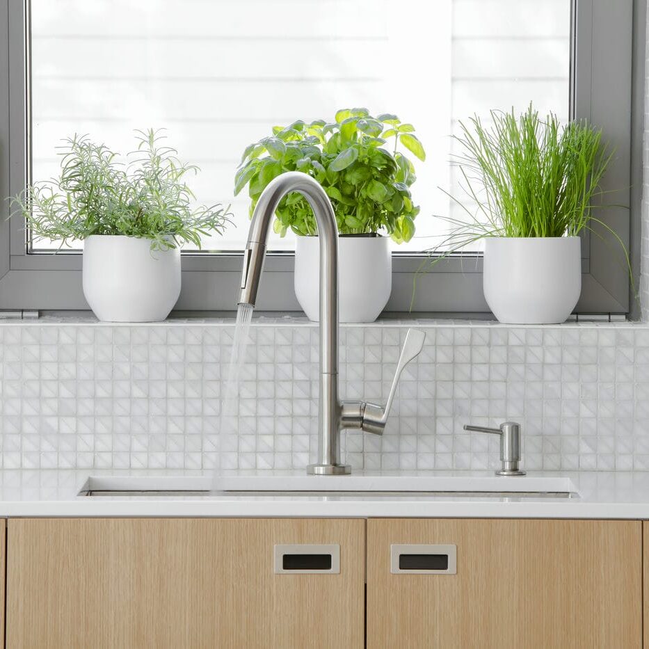 modern minimalistic Richmond Hill kitchen